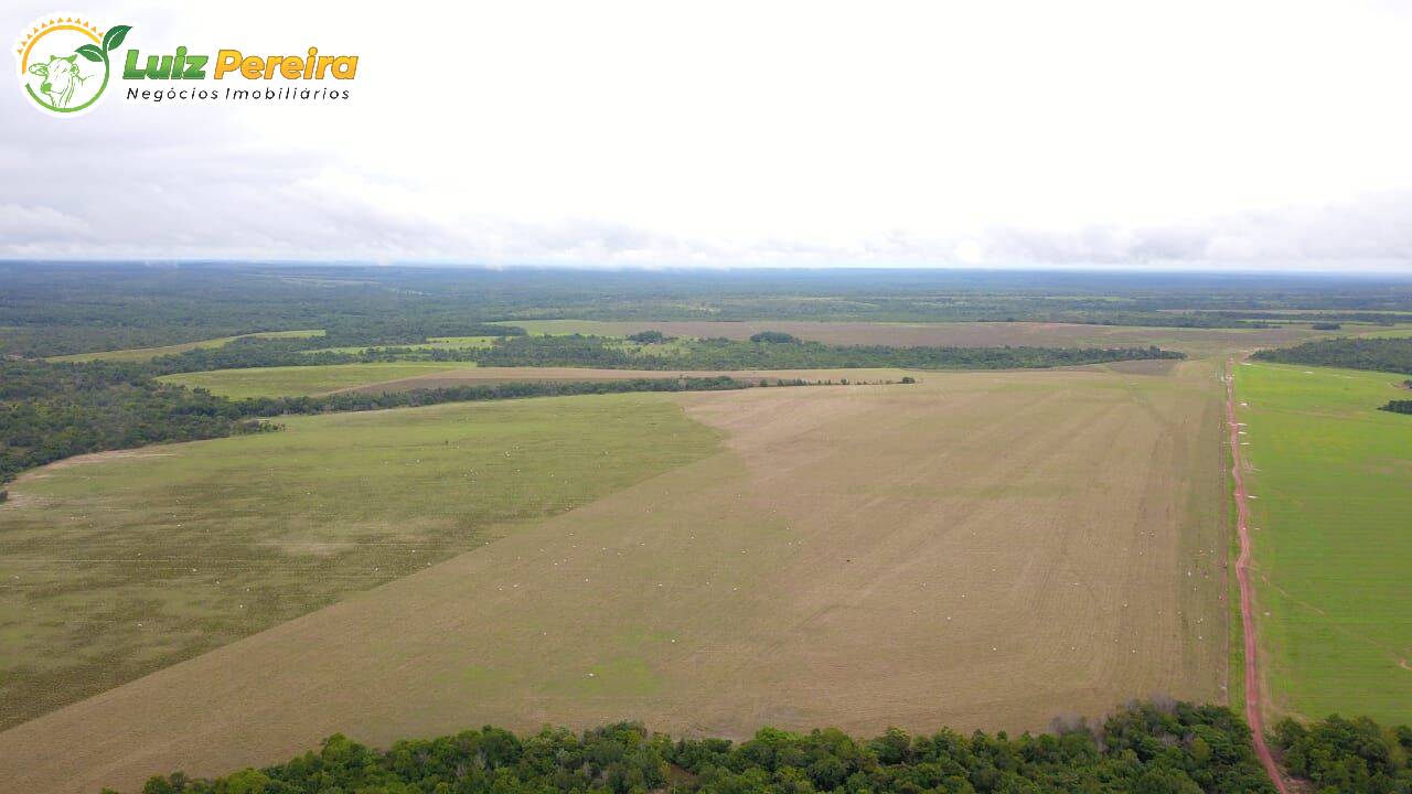 Fazenda-Sítio-Chácara, 542 hectares - Foto 2