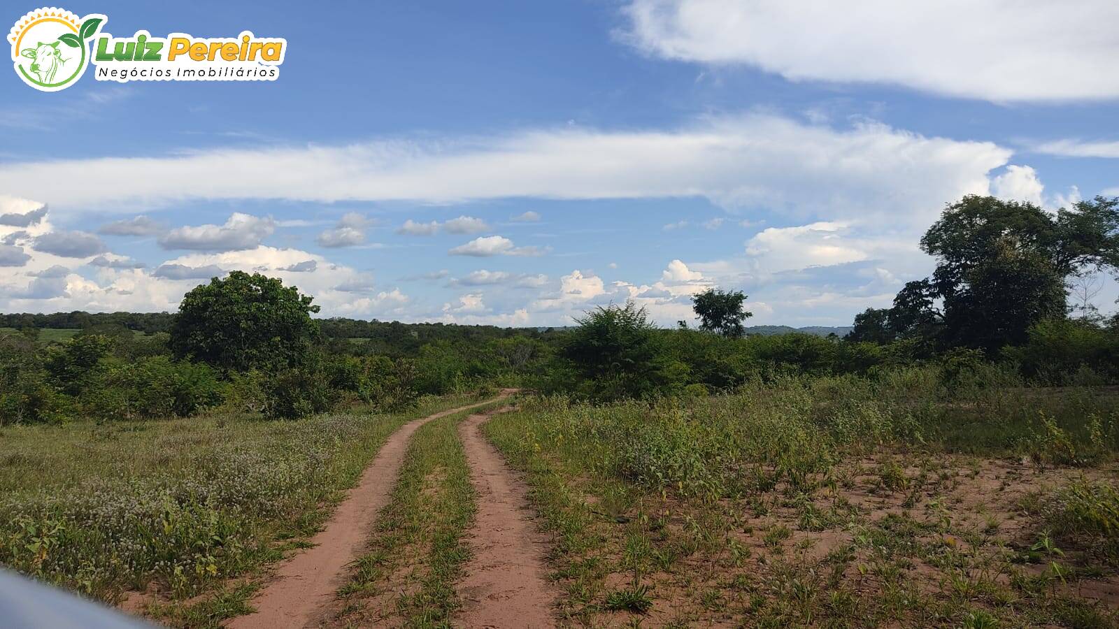 Fazenda à venda, 5510000m² - Foto 11