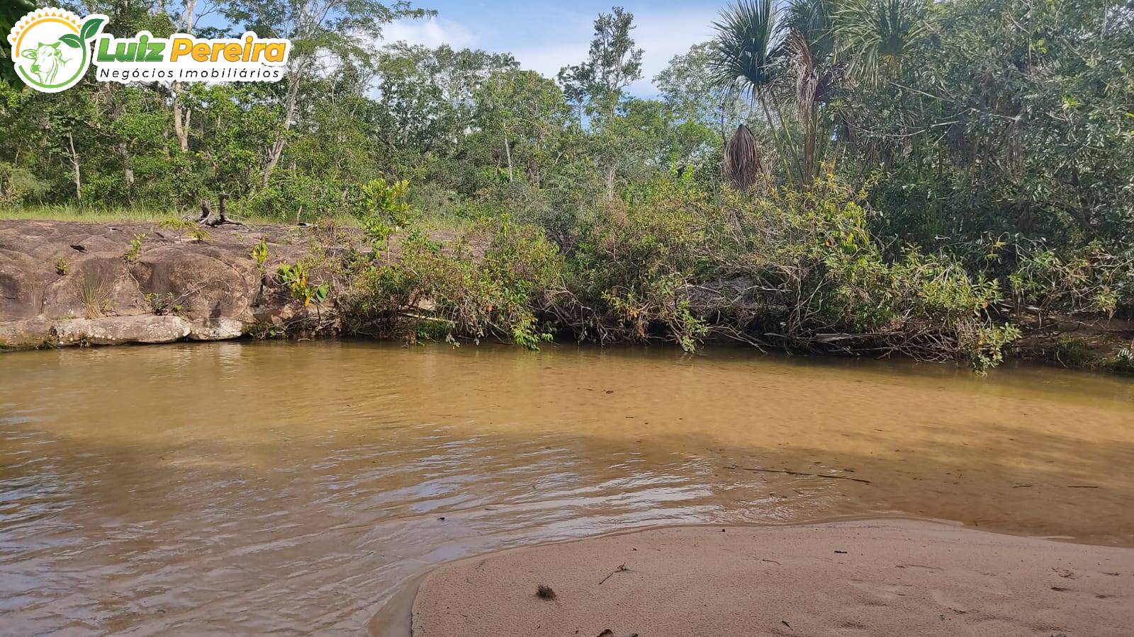 Fazenda à venda, 5510000m² - Foto 8