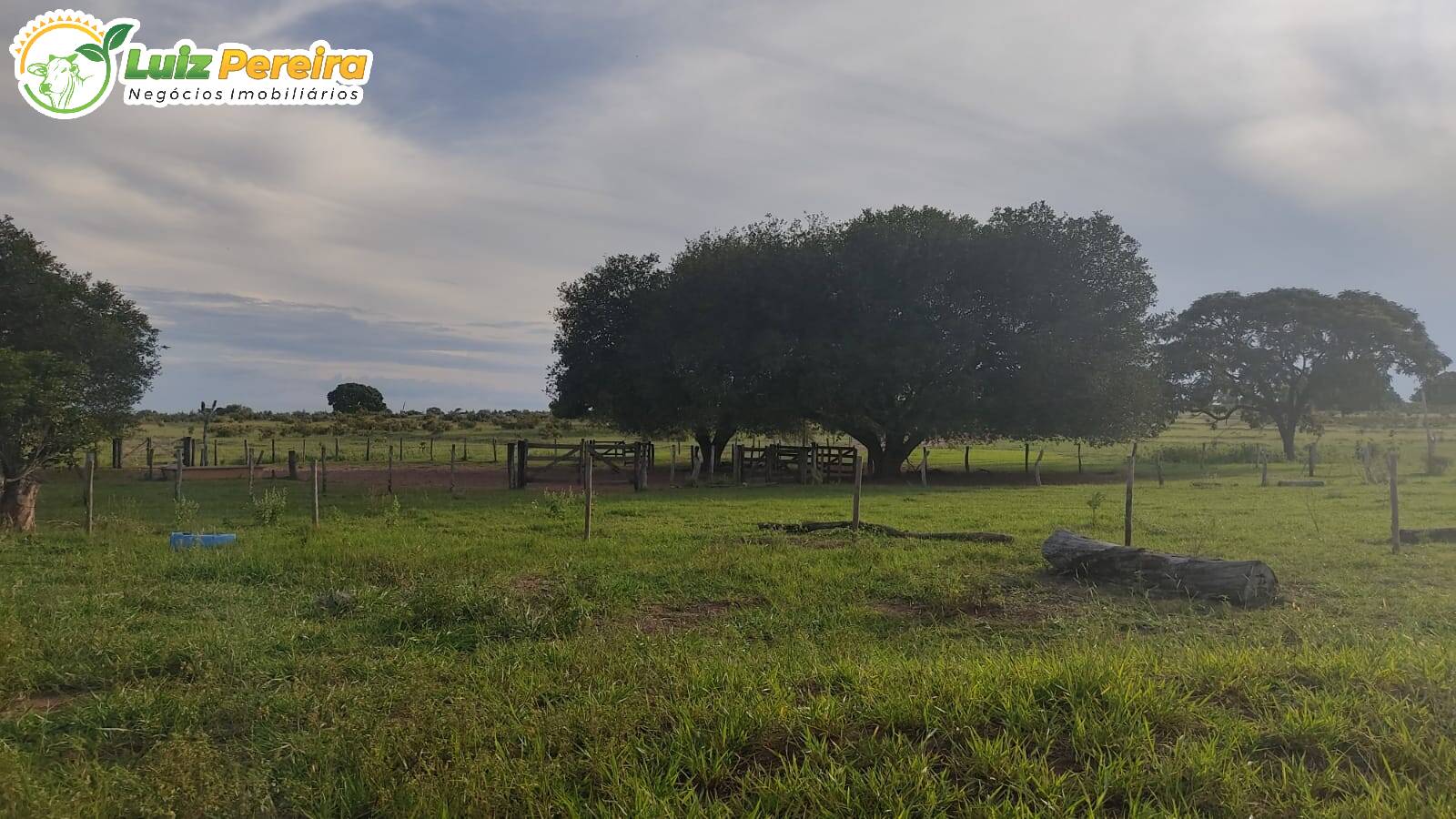 Fazenda à venda, 5510000m² - Foto 2