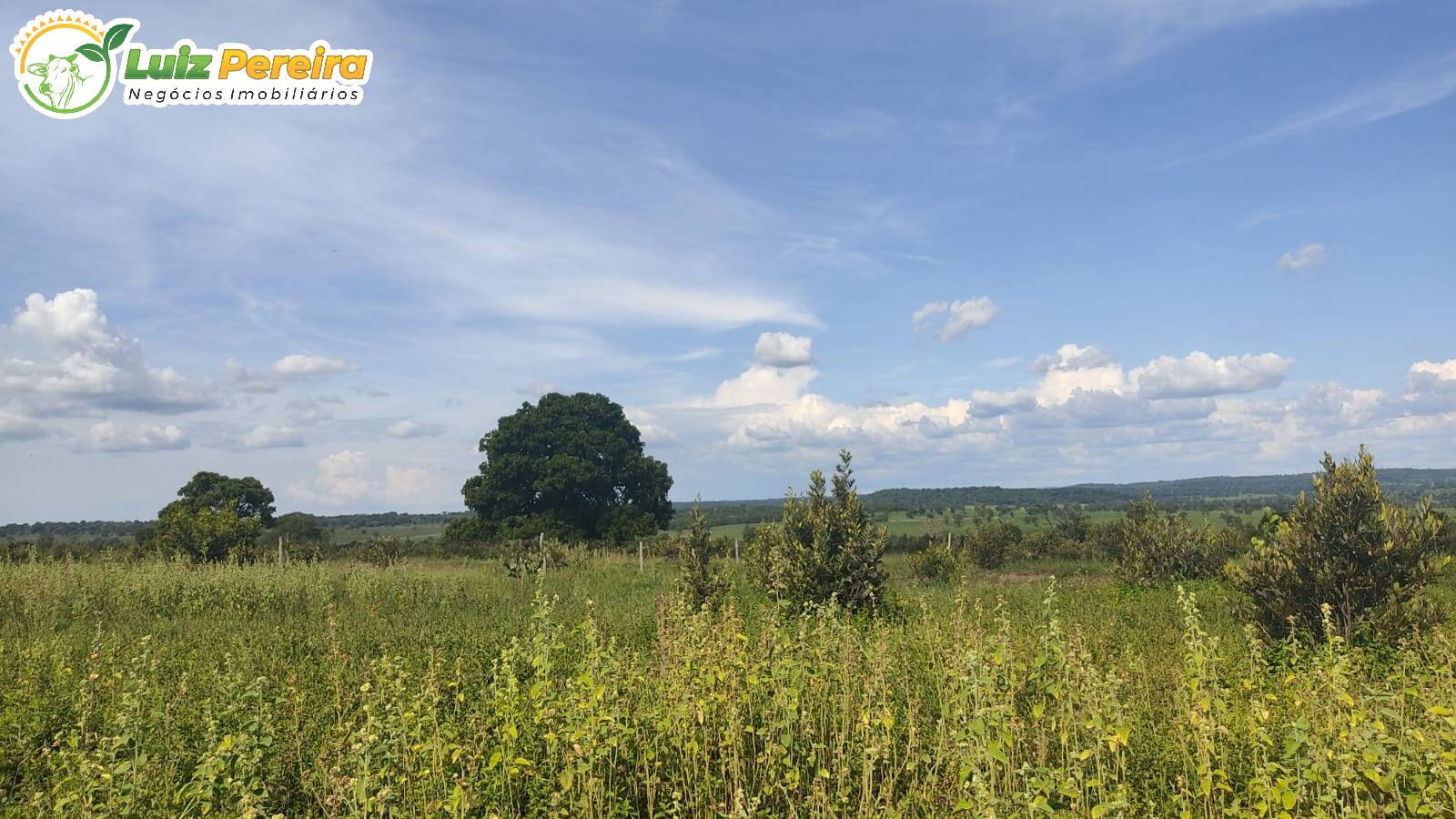 Fazenda à venda, 5510000m² - Foto 3