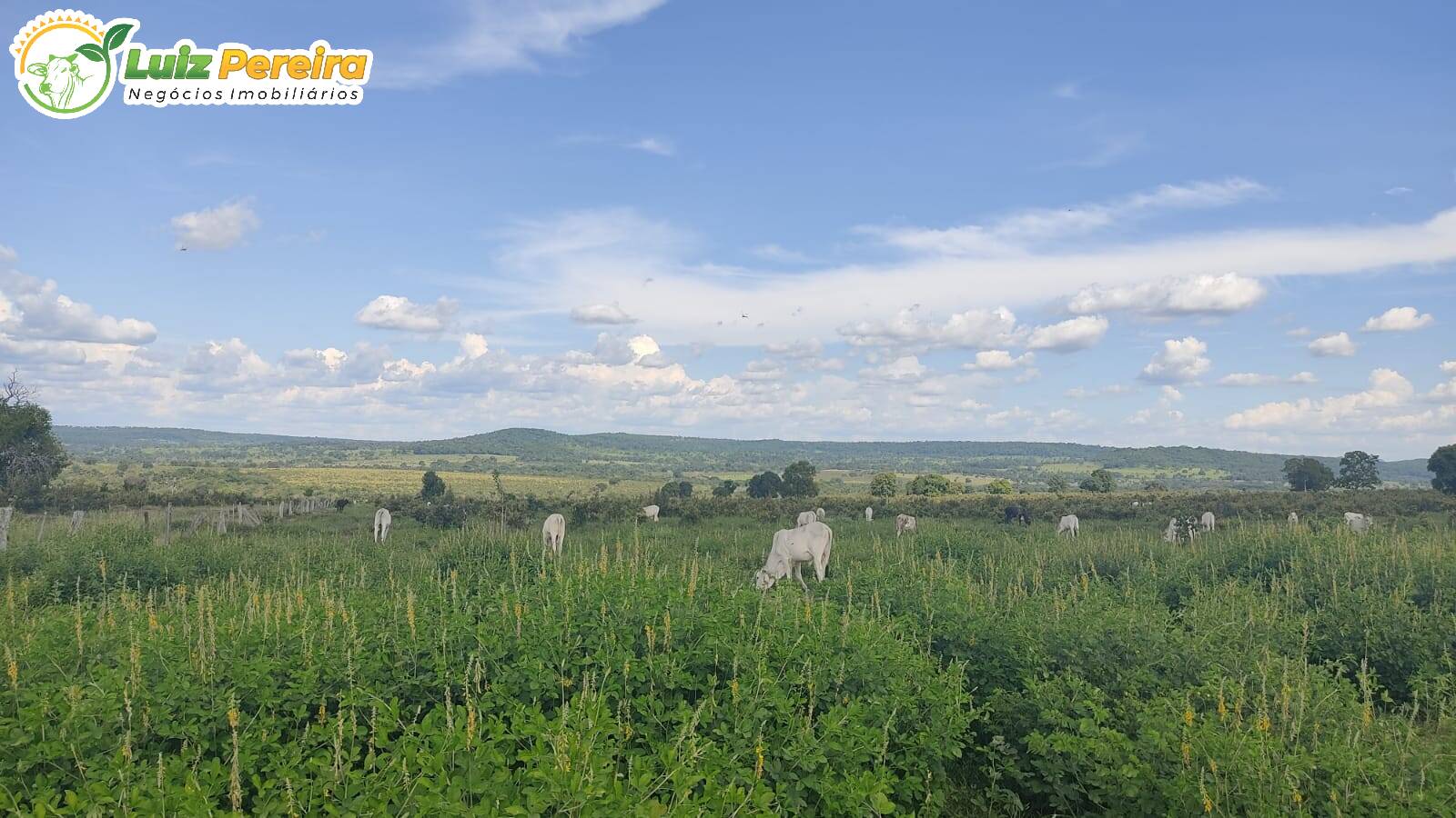 Fazenda à venda, 5510000m² - Foto 4