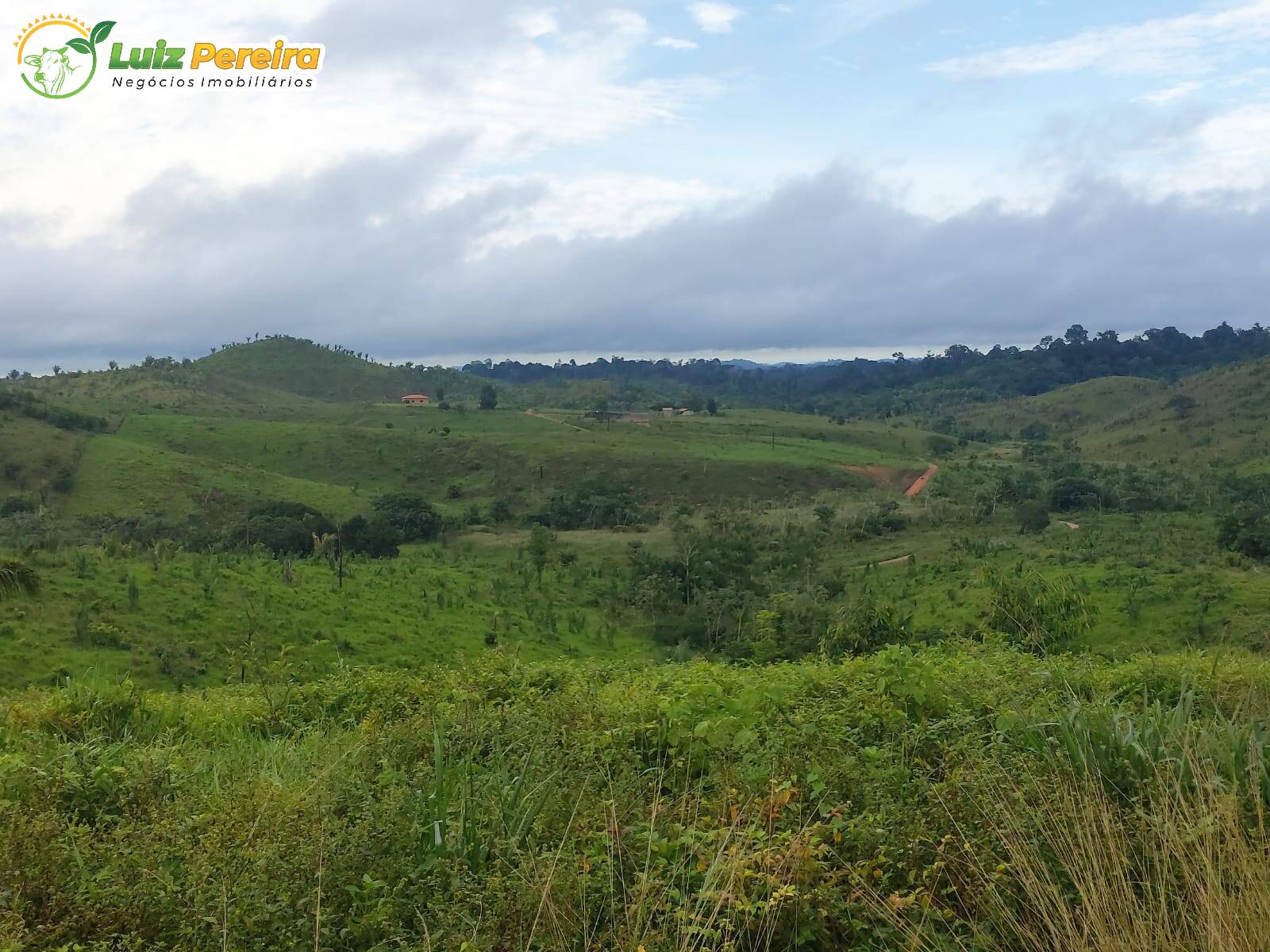 Fazenda à venda, 26813600m² - Foto 5