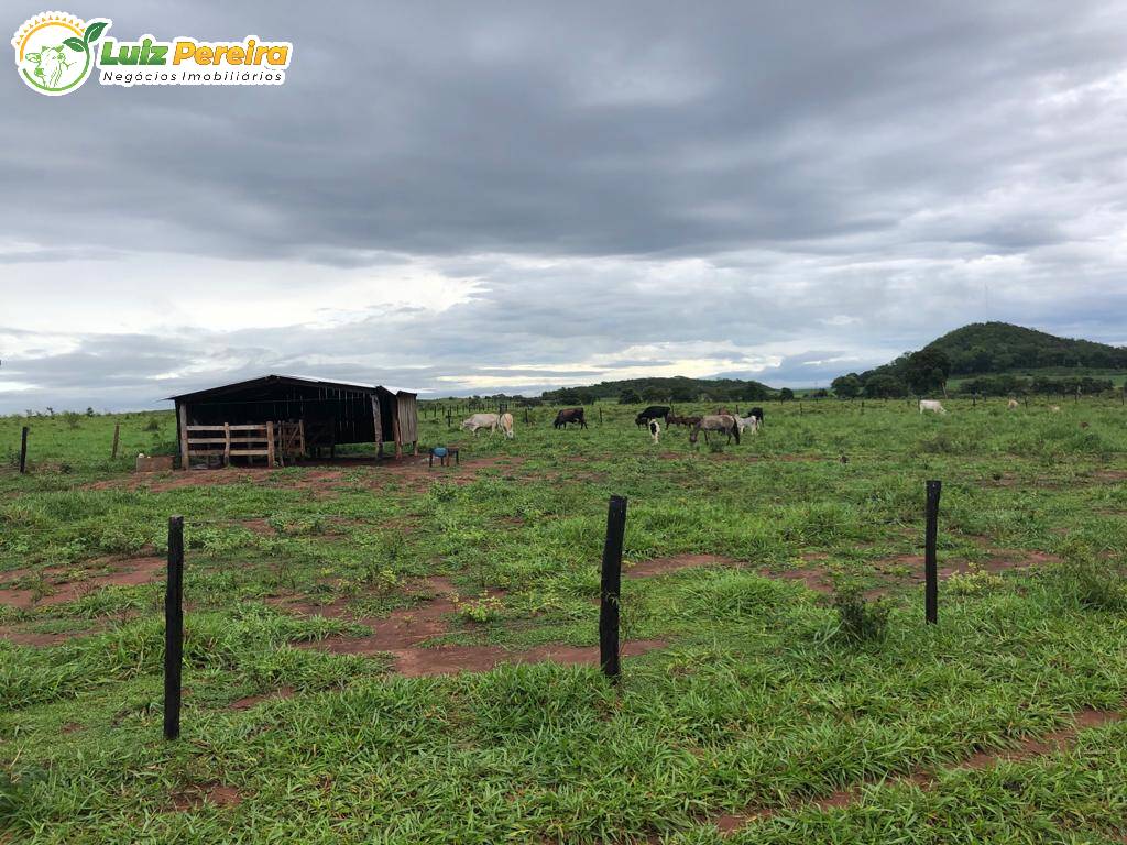 Terreno à venda, 3250000m² - Foto 6