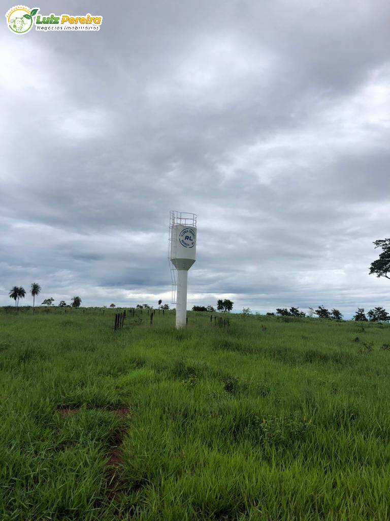 Terreno à venda, 3250000m² - Foto 7