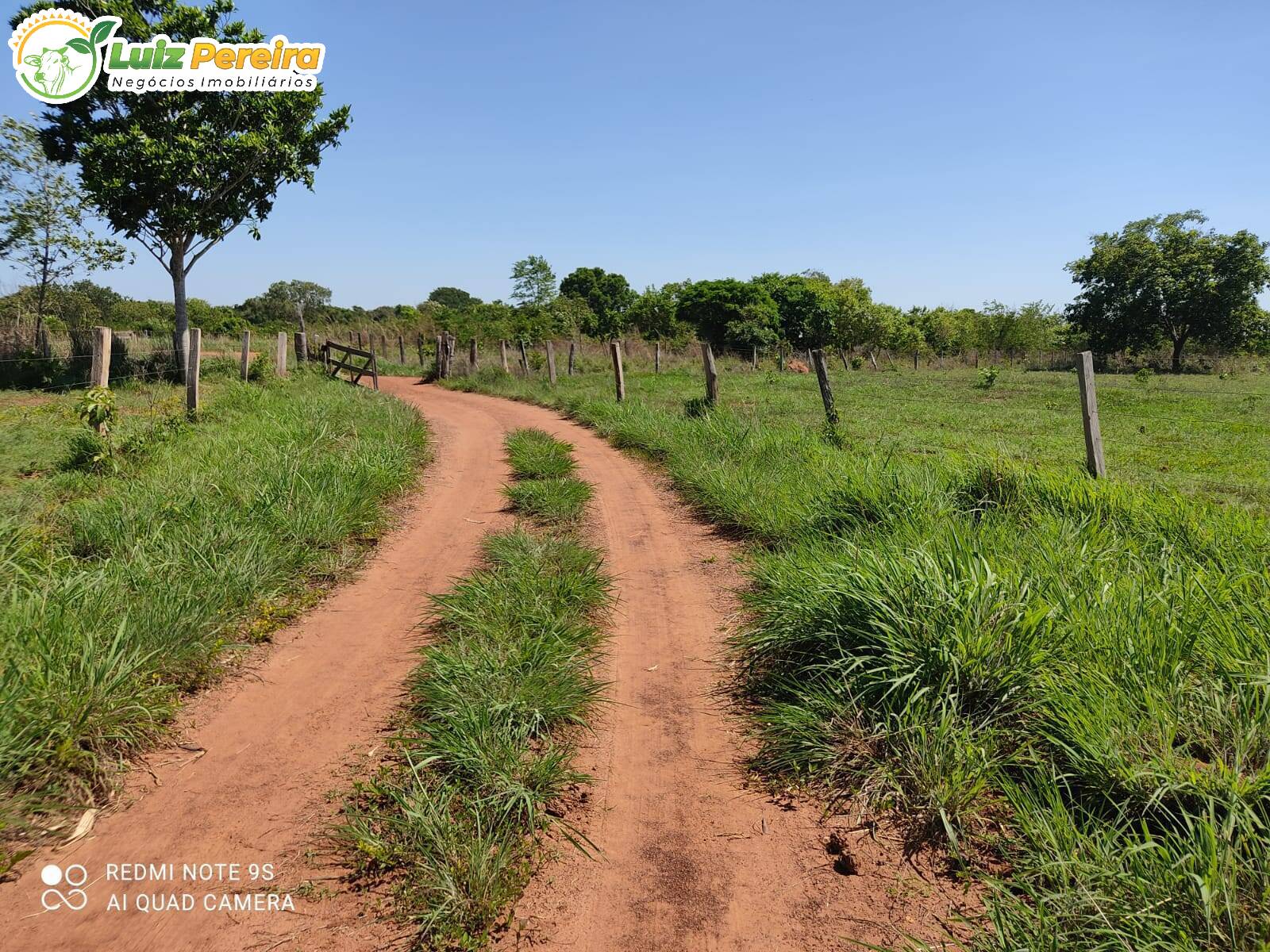 Fazenda à venda, 1161600m² - Foto 6