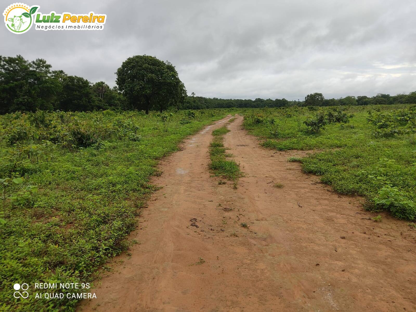 Fazenda à venda, 1161600m² - Foto 7