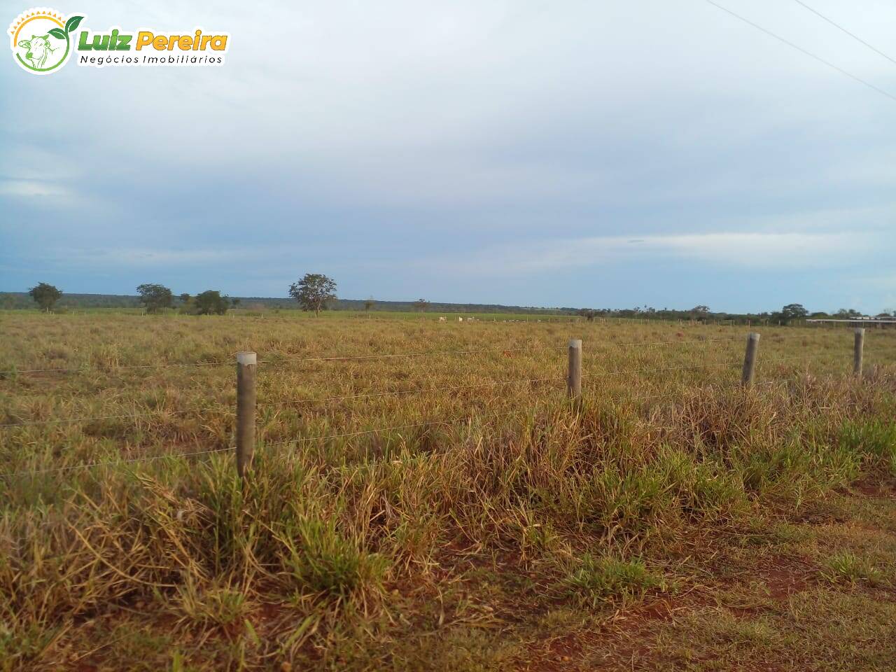 Fazenda à venda, 3600000m² - Foto 5