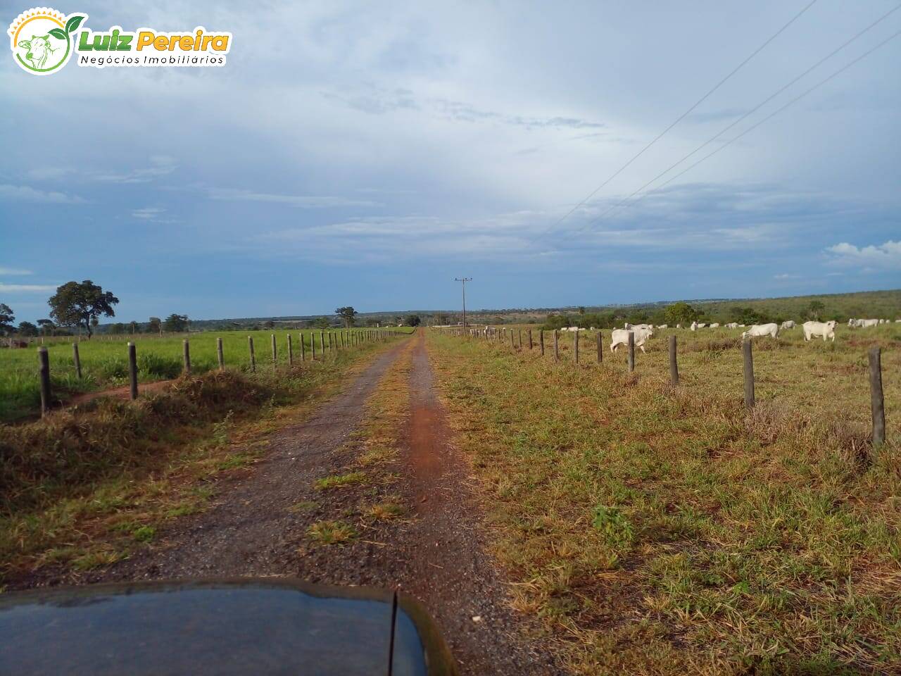 Fazenda à venda, 3600000m² - Foto 13