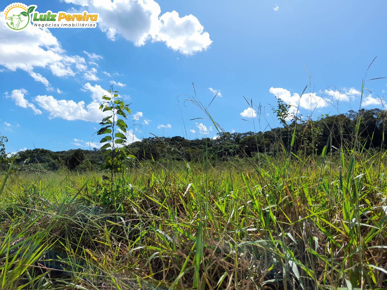 Fazenda à venda, 8680000m² - Foto 26