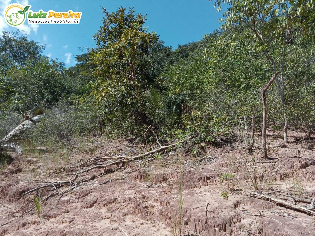 Fazenda à venda, 8680000m² - Foto 30