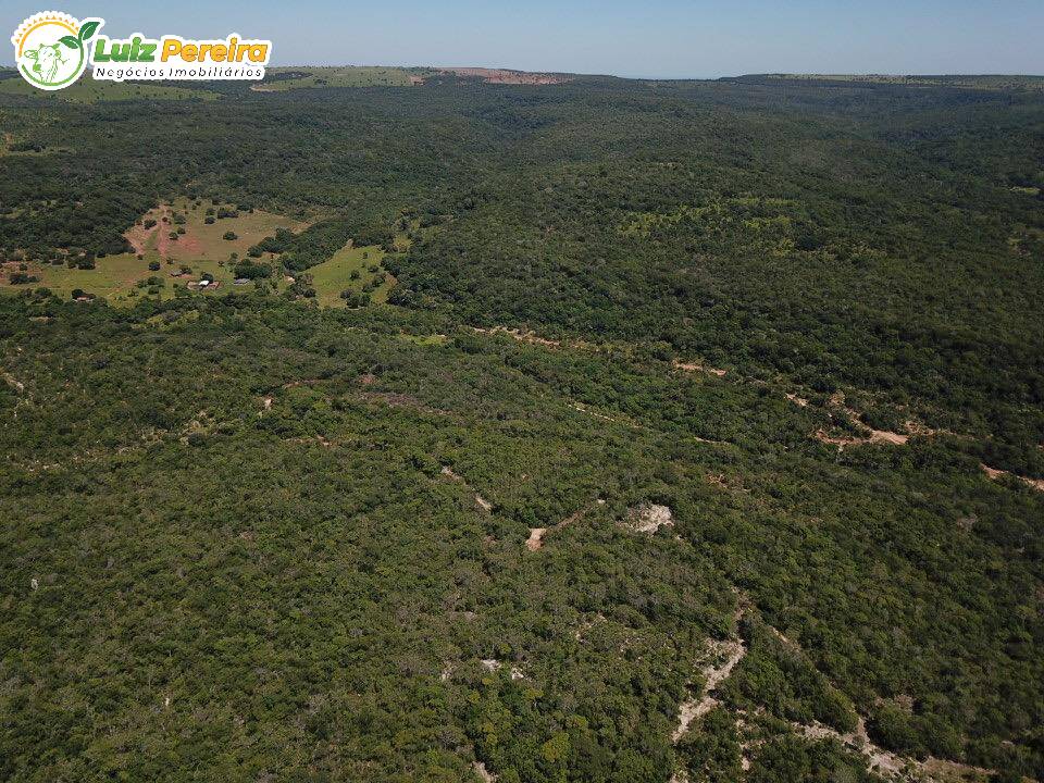 Fazenda à venda, 8680000m² - Foto 34