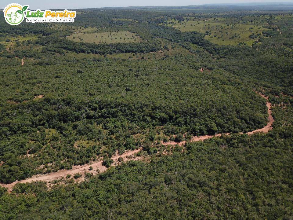 Fazenda-Sítio-Chácara, 868 hectares - Foto 1