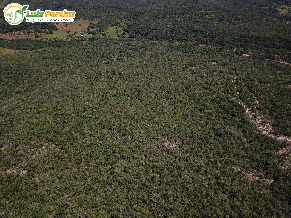 Fazenda à venda, 8680000m² - Foto 5