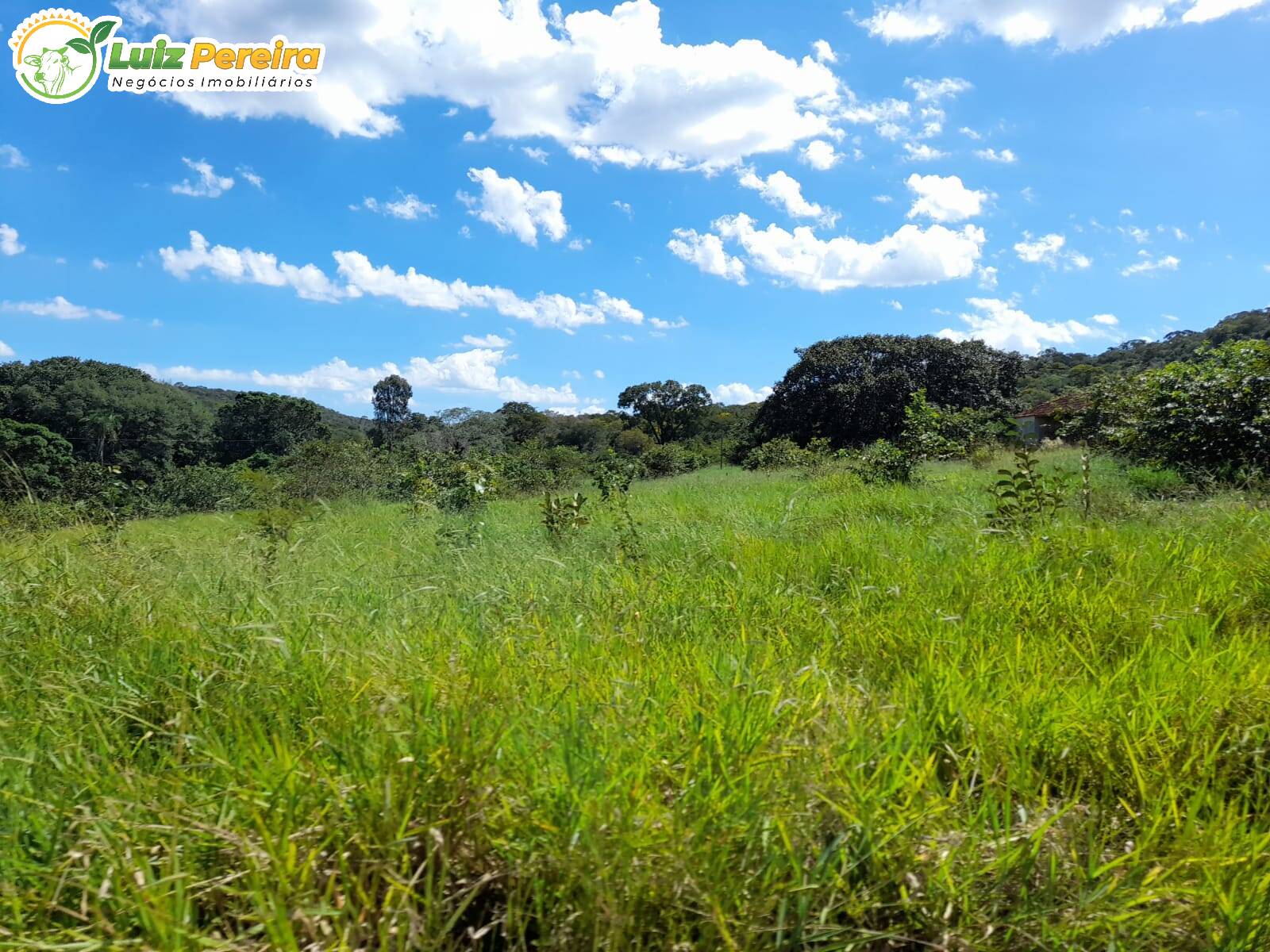 Fazenda à venda, 8680000m² - Foto 14