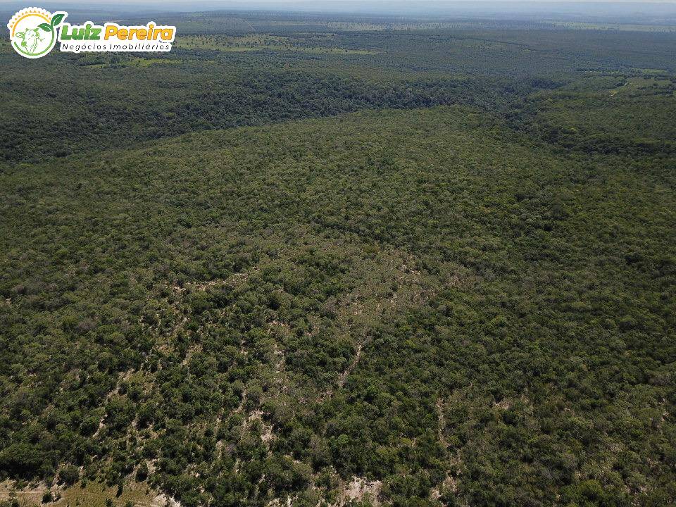 Fazenda à venda, 8680000m² - Foto 7