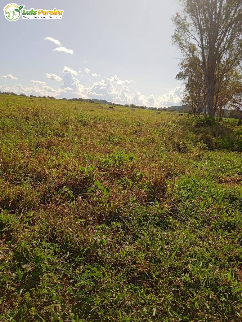 Fazenda à venda, 27580000m² - Foto 7