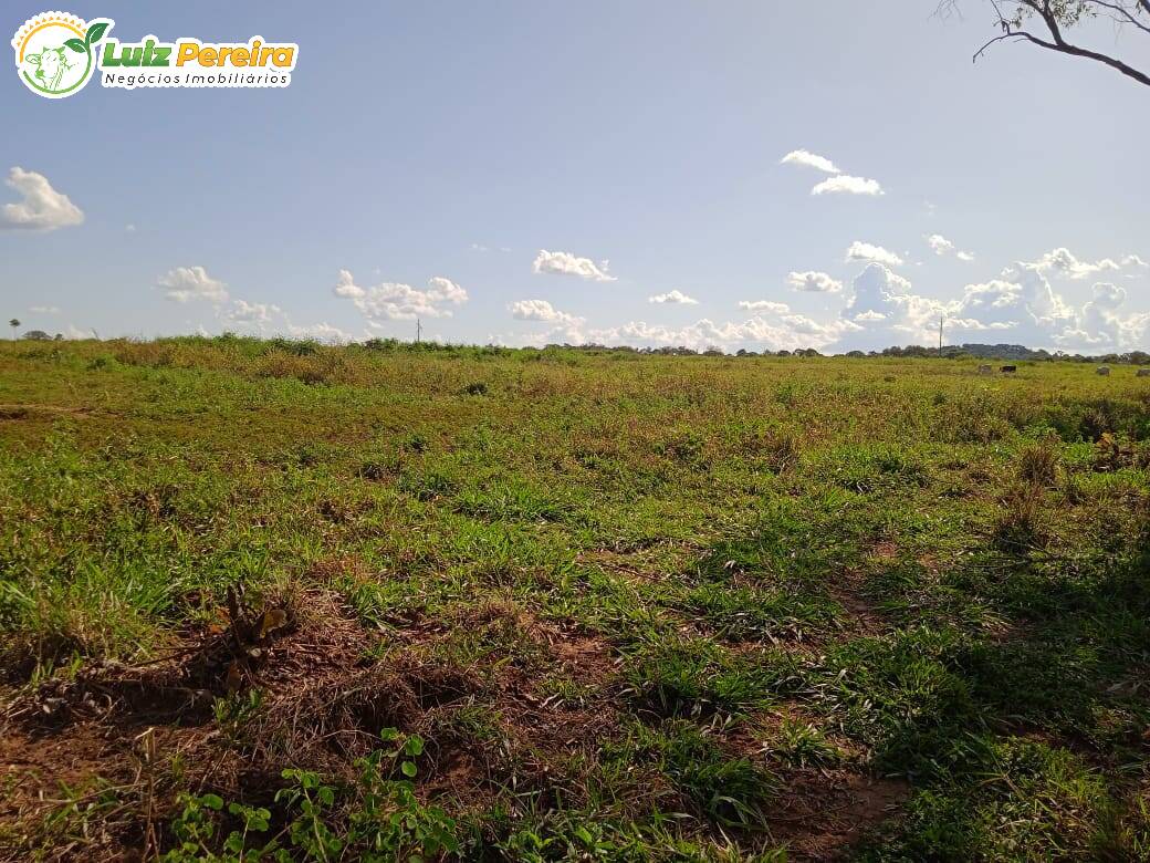 Fazenda-Sítio-Chácara, 2758 hectares - Foto 4