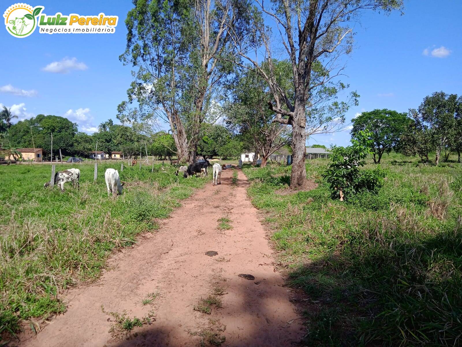 Fazenda à venda, 27580000m² - Foto 9