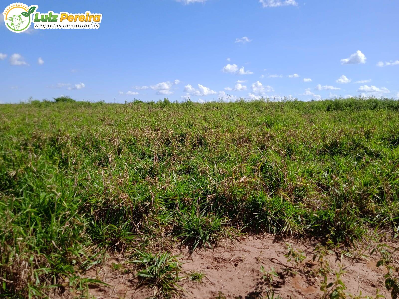 Fazenda à venda, 27580000m² - Foto 6