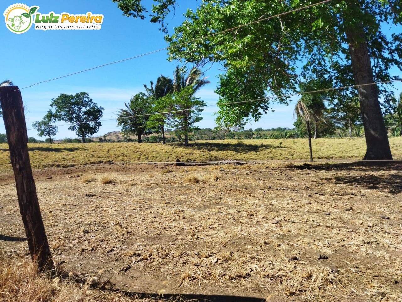Fazenda-Sítio-Chácara, 1070 hectares - Foto 2