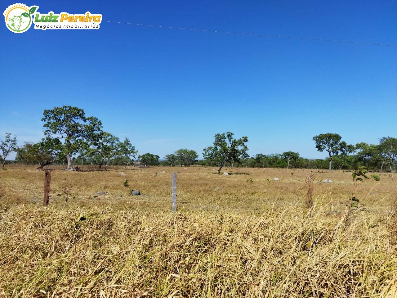 Fazenda-Sítio-Chácara, 1070 hectares - Foto 4