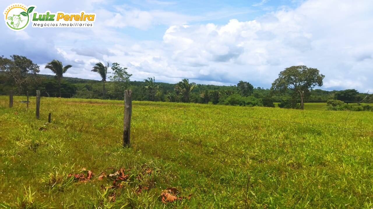 Fazenda à venda, 7598800m² - Foto 14