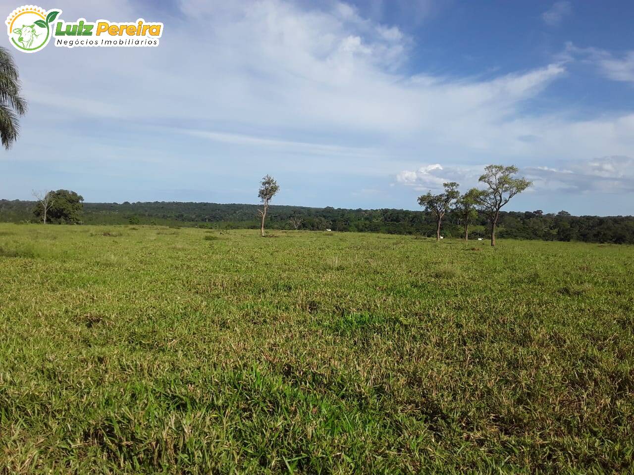 Fazenda à venda, 7598800m² - Foto 15