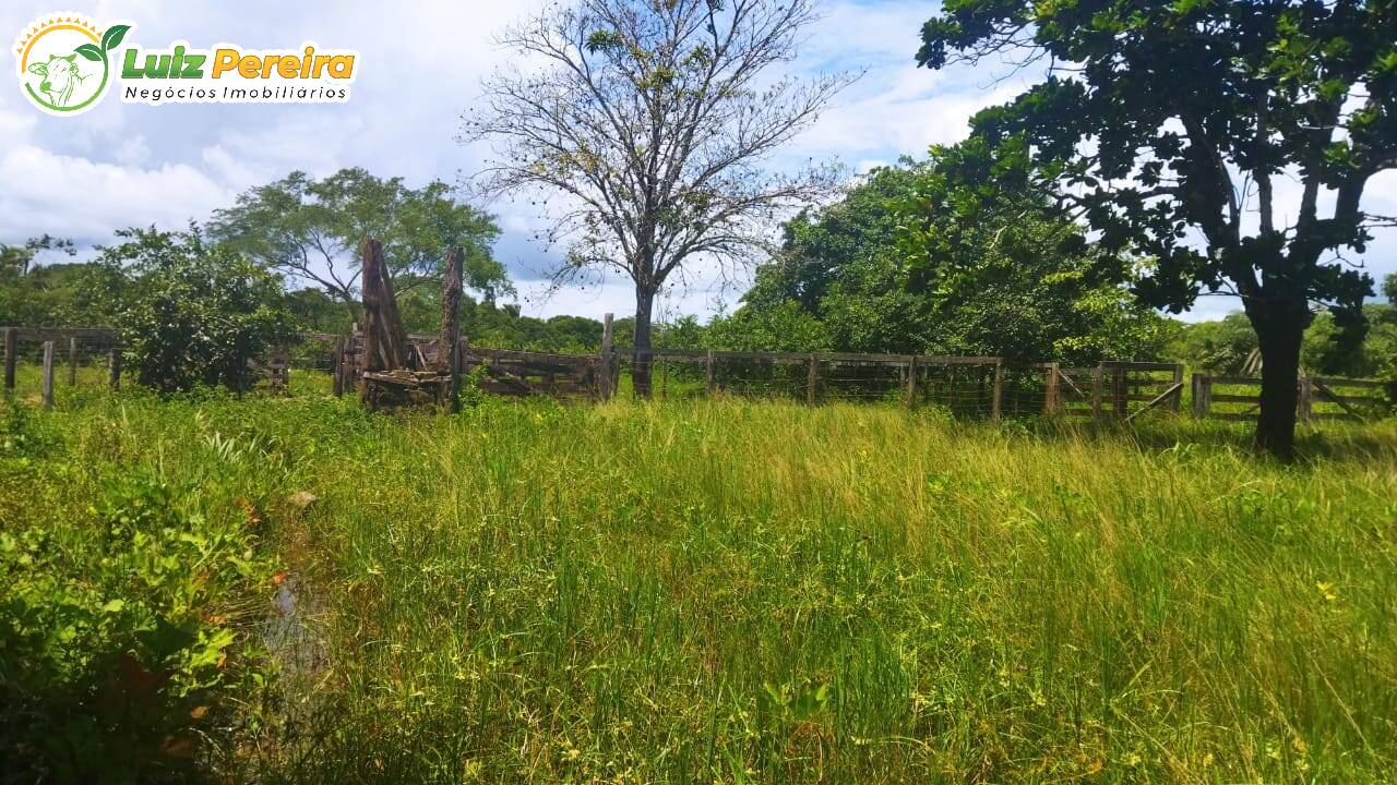 Fazenda à venda, 7598800m² - Foto 8