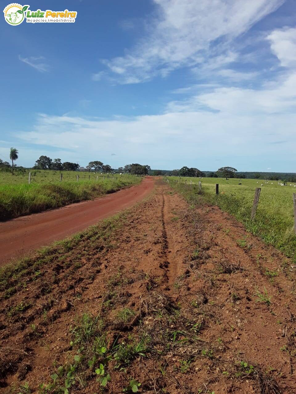 Fazenda à venda, 7598800m² - Foto 19