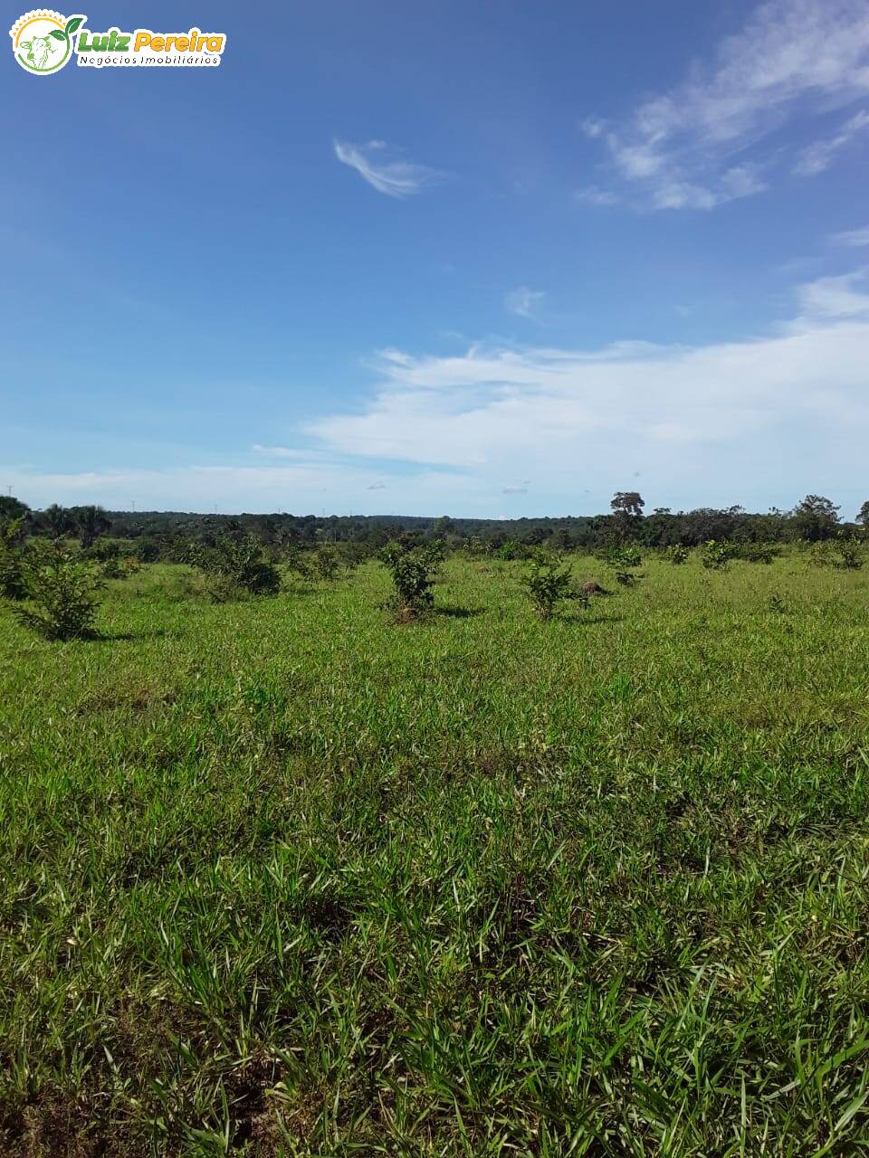 Fazenda à venda, 7598800m² - Foto 9