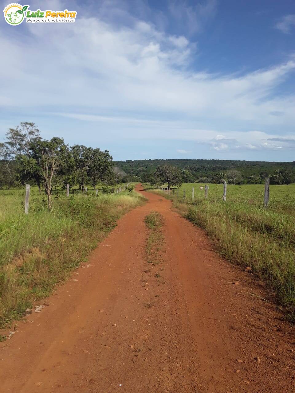 Fazenda à venda, 7598800m² - Foto 17