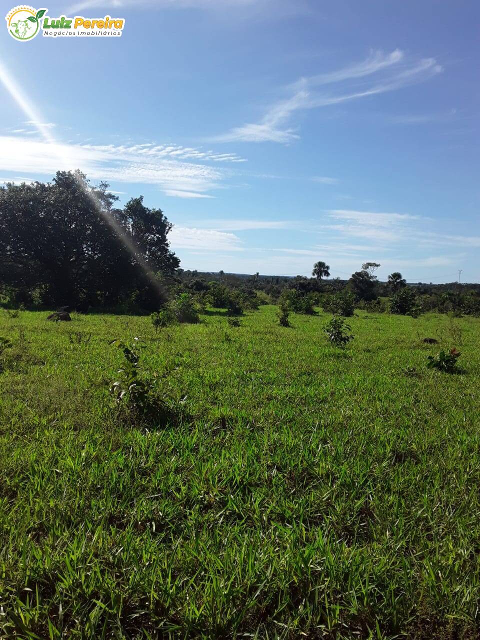 Fazenda à venda, 7598800m² - Foto 11