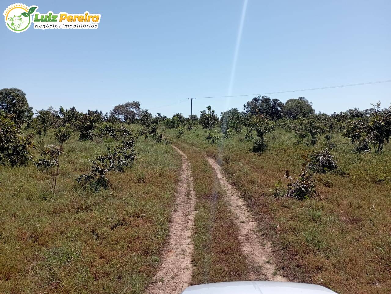 Fazenda à venda, 15970000m² - Foto 20