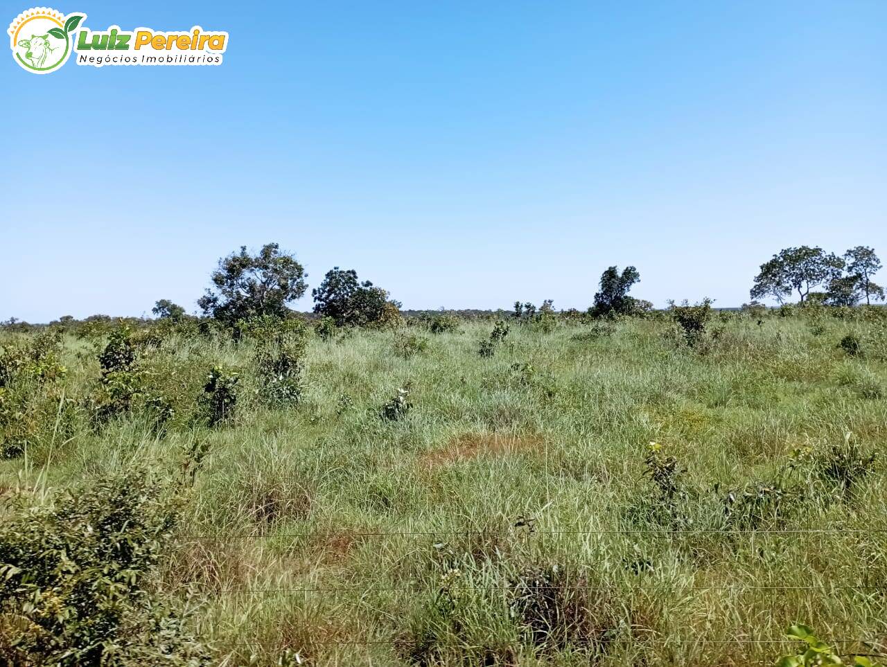 Fazenda à venda, 15970000m² - Foto 8