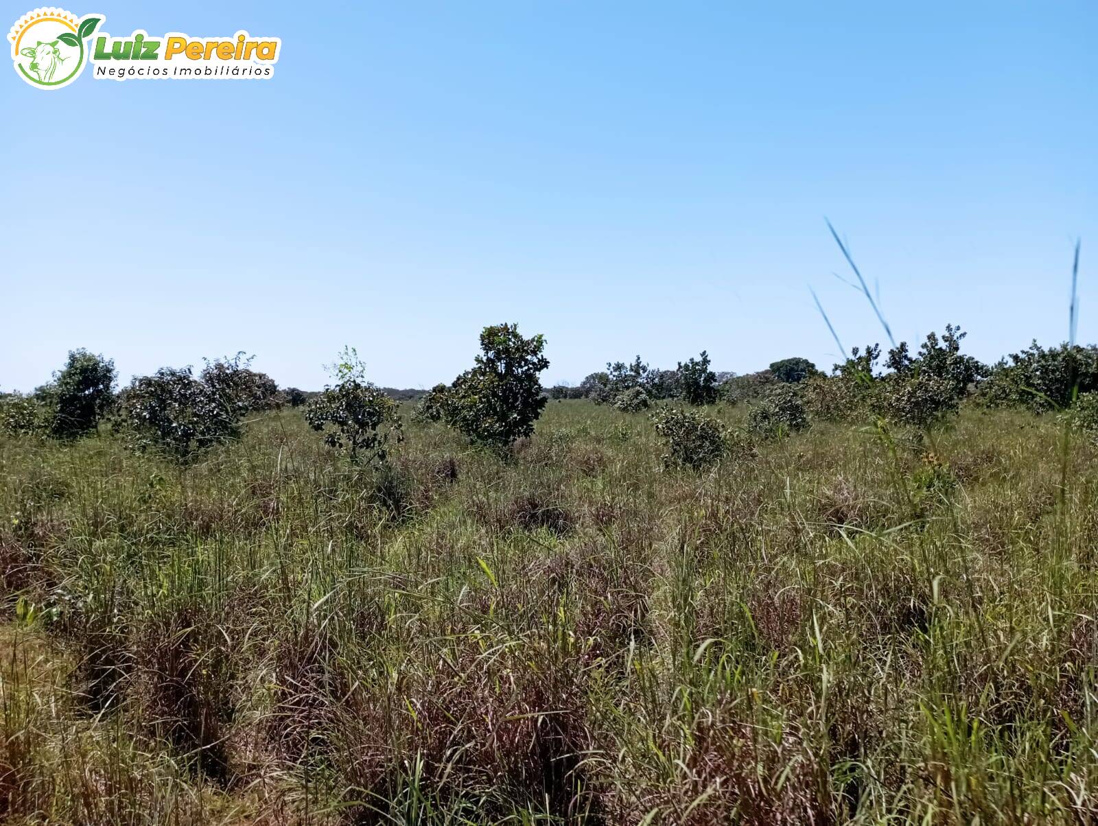 Fazenda à venda, 15970000m² - Foto 9