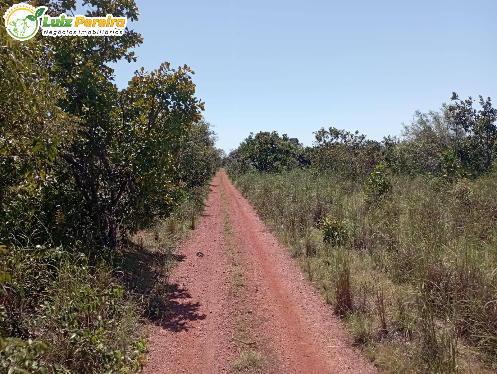 Fazenda à venda, 15970000m² - Foto 22