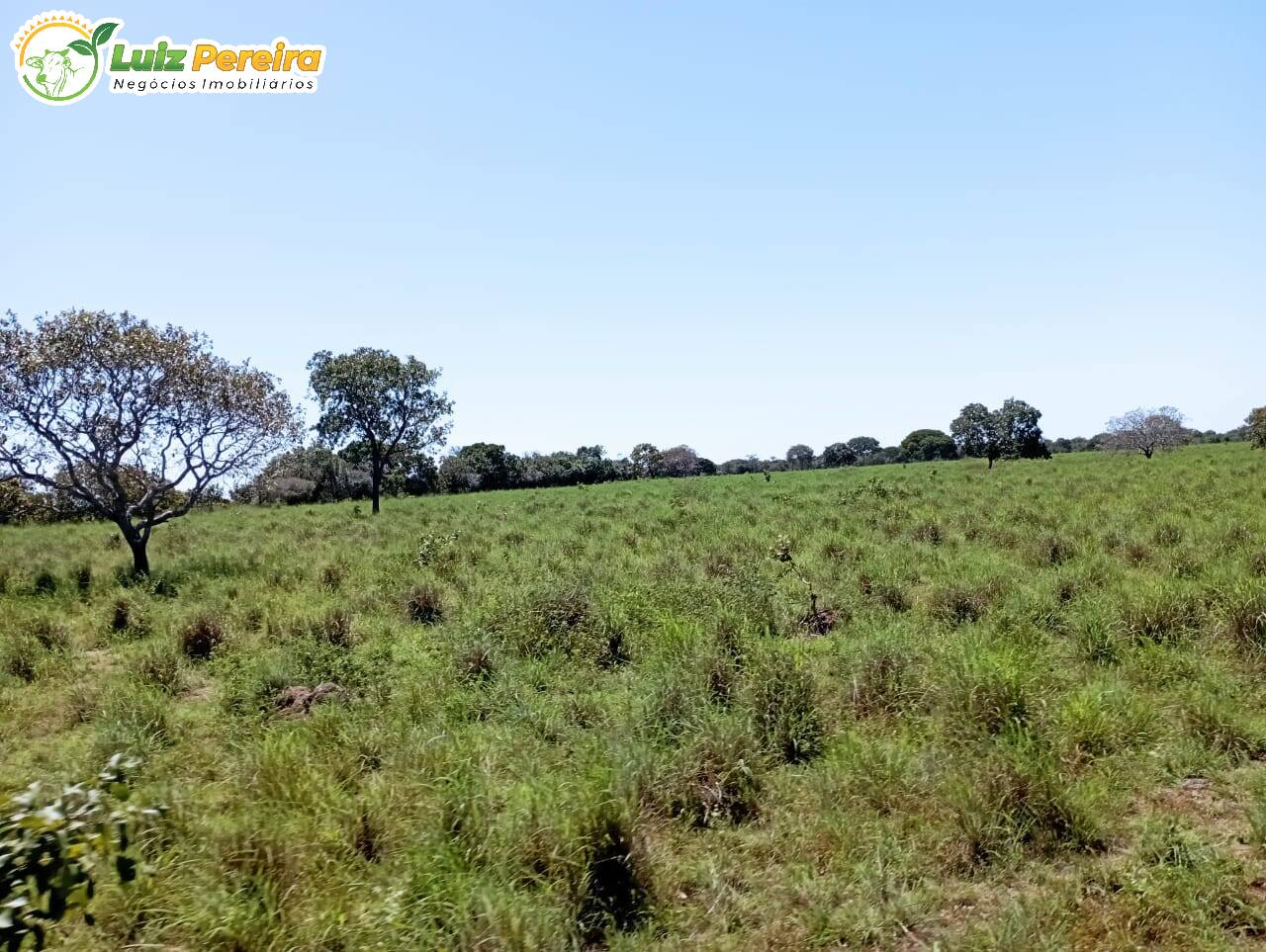 Fazenda à venda, 15970000m² - Foto 6