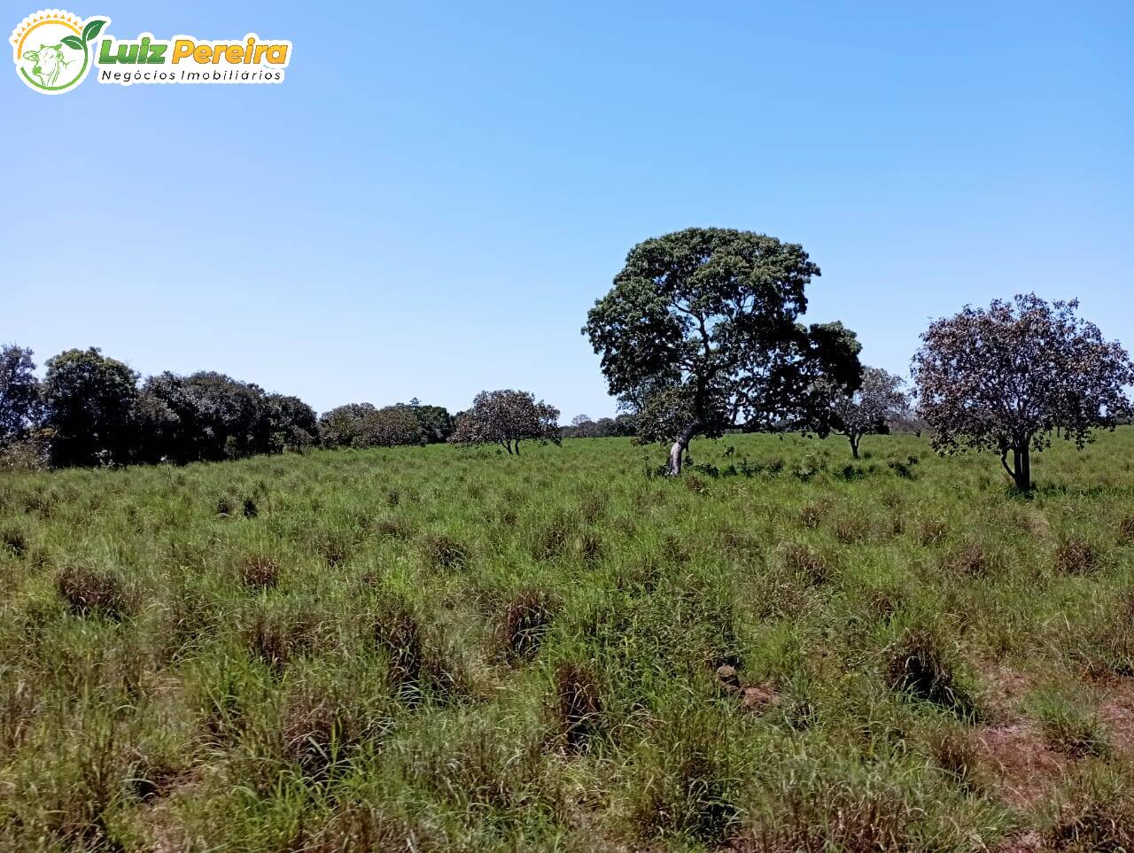 Fazenda à venda, 15970000m² - Foto 3