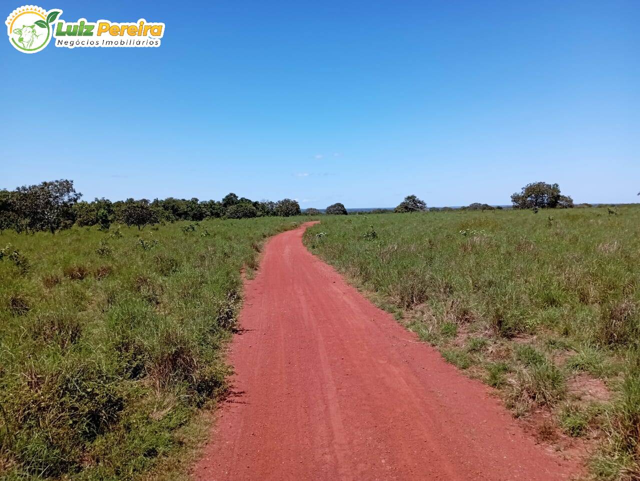 Fazenda à venda, 15970000m² - Foto 24