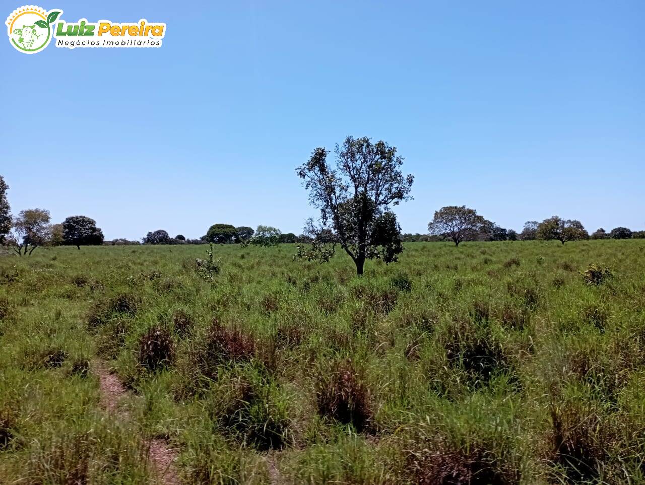 Fazenda à venda, 15970000m² - Foto 14