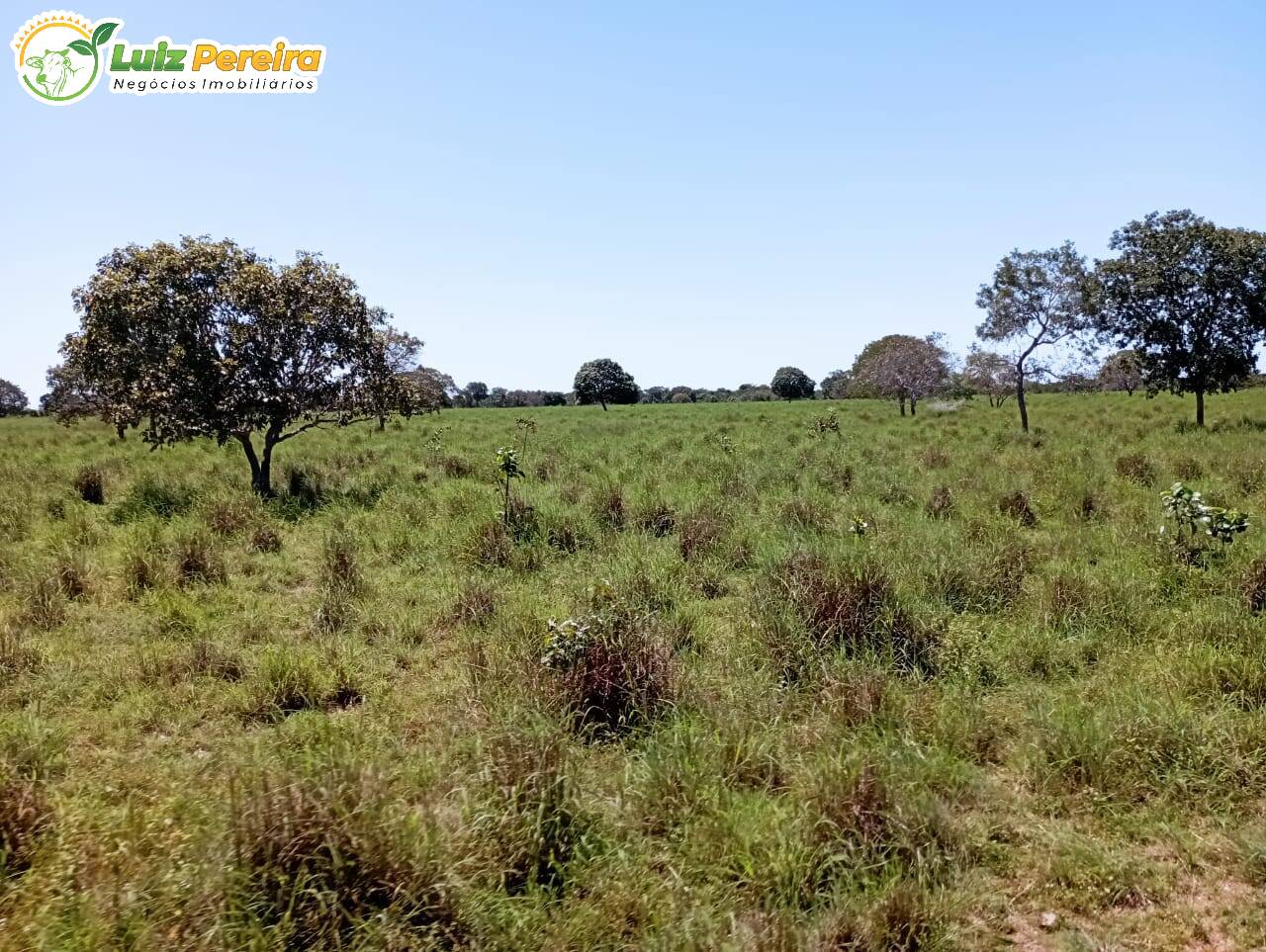 Fazenda à venda, 15970000m² - Foto 13