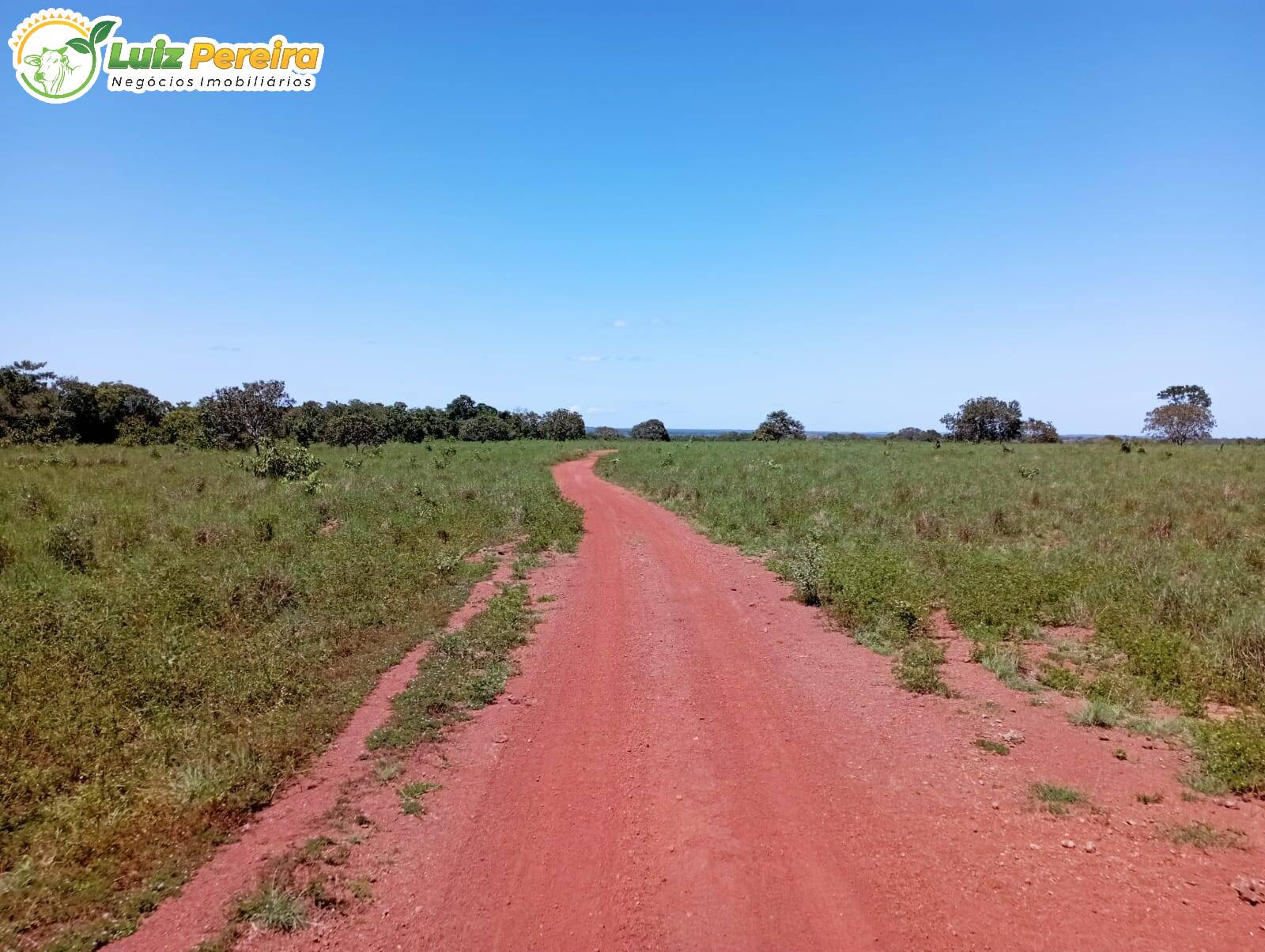 Fazenda à venda, 15970000m² - Foto 25