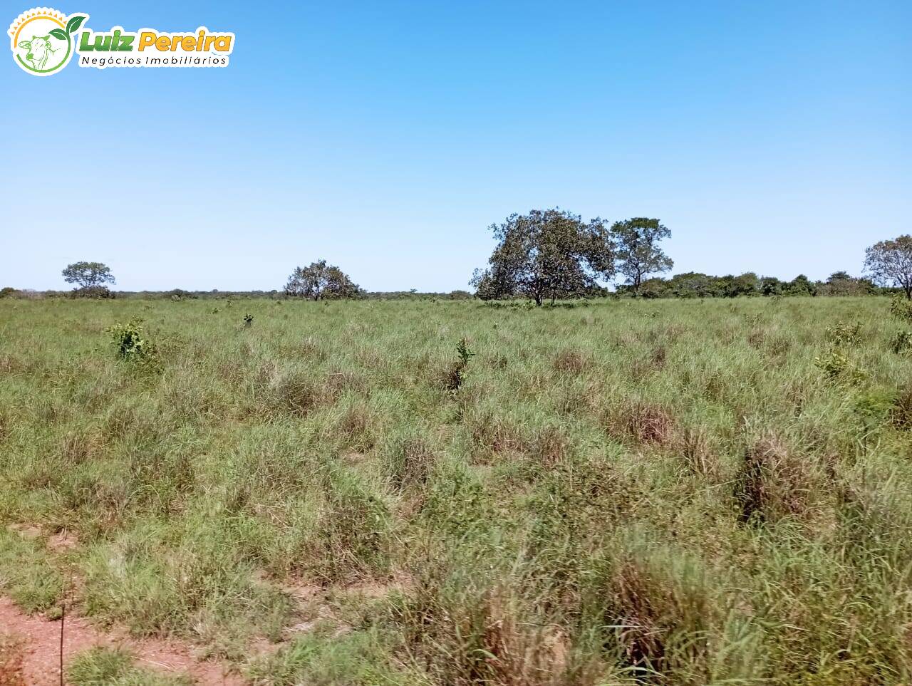 Fazenda à venda, 15970000m² - Foto 26