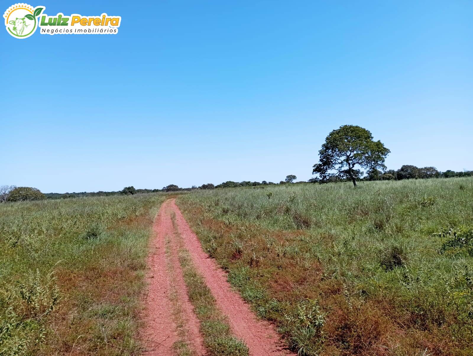 Fazenda à venda, 15970000m² - Foto 28