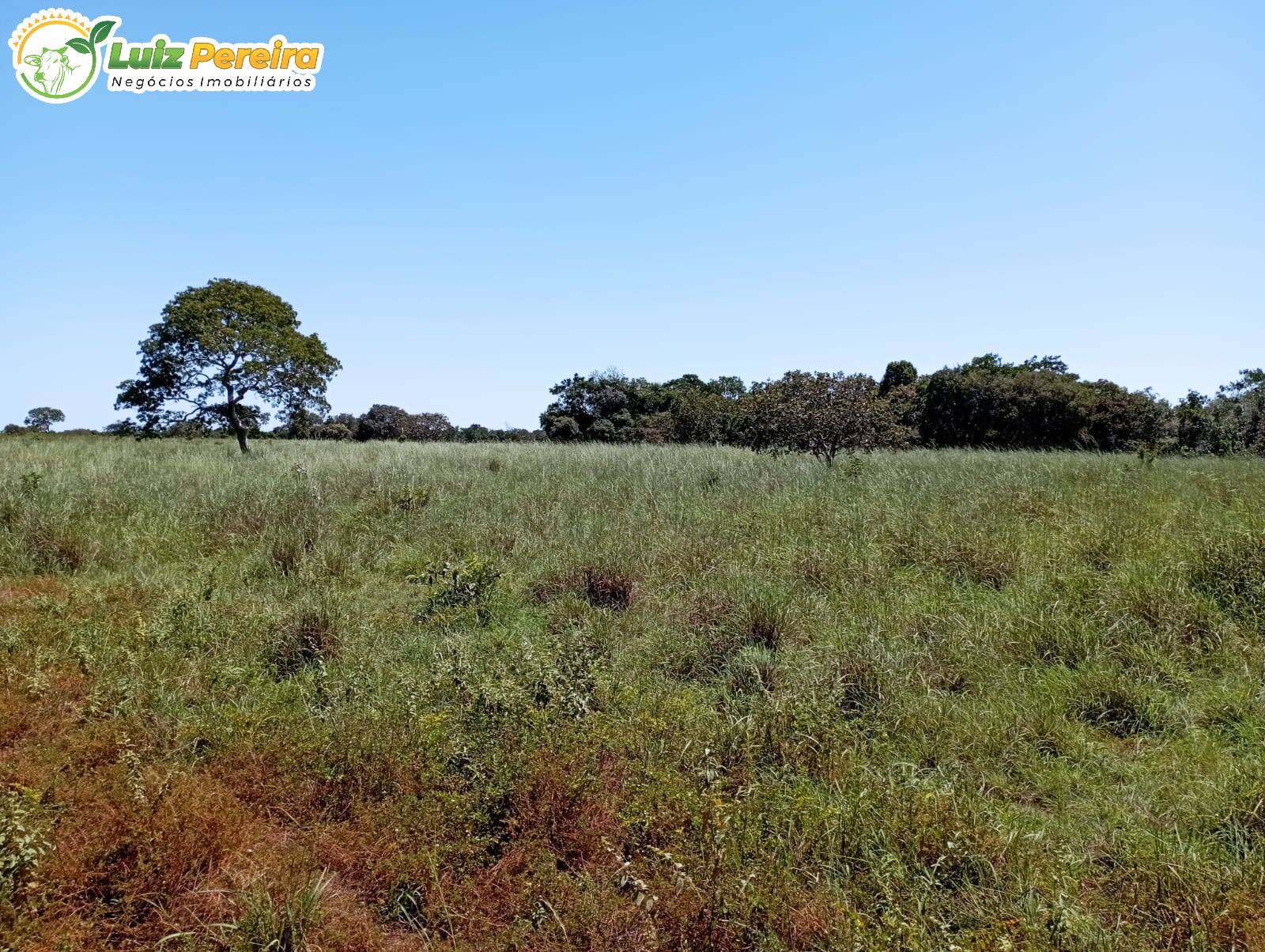 Fazenda à venda, 15970000m² - Foto 7