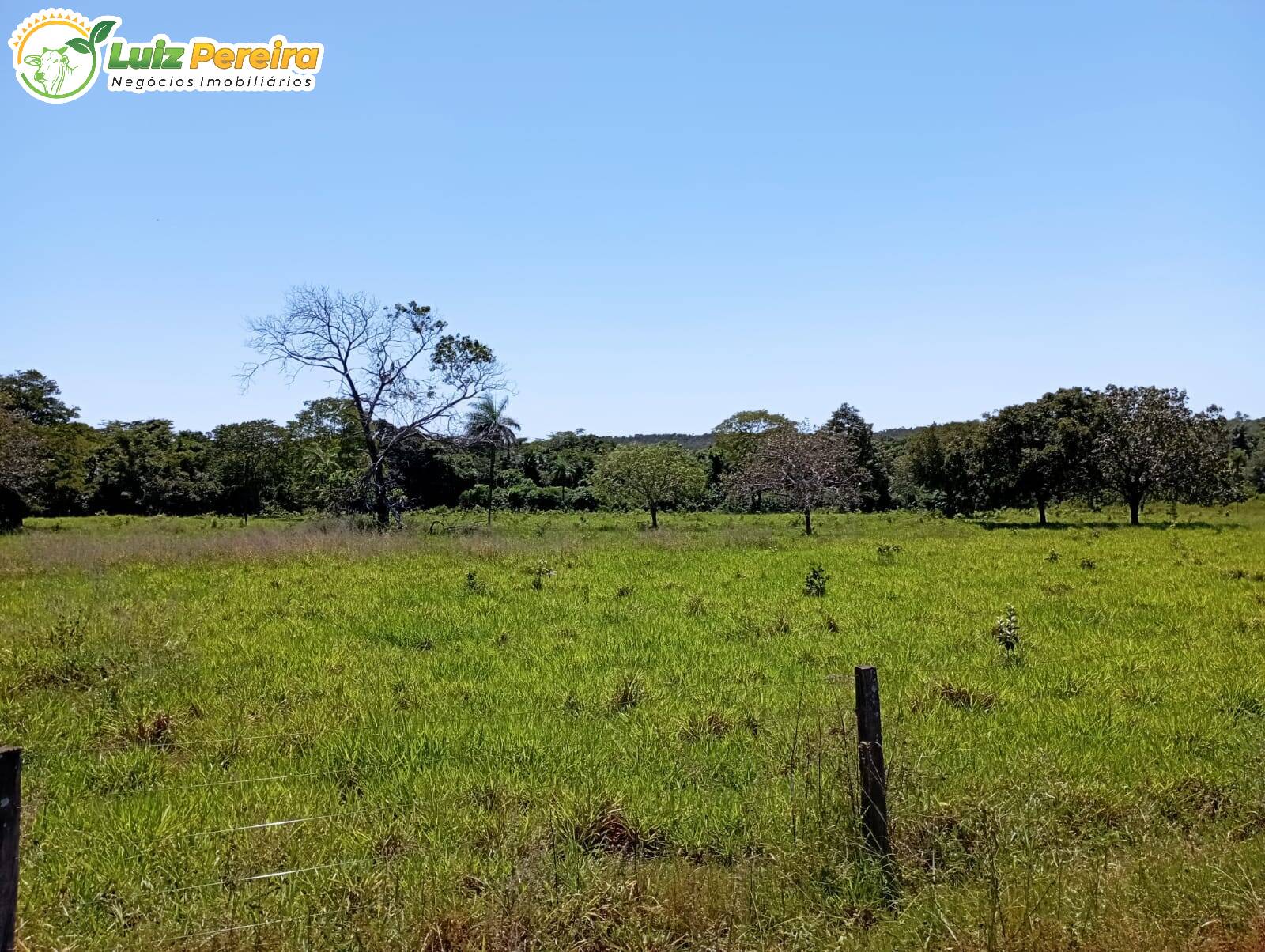 Fazenda à venda, 15970000m² - Foto 2