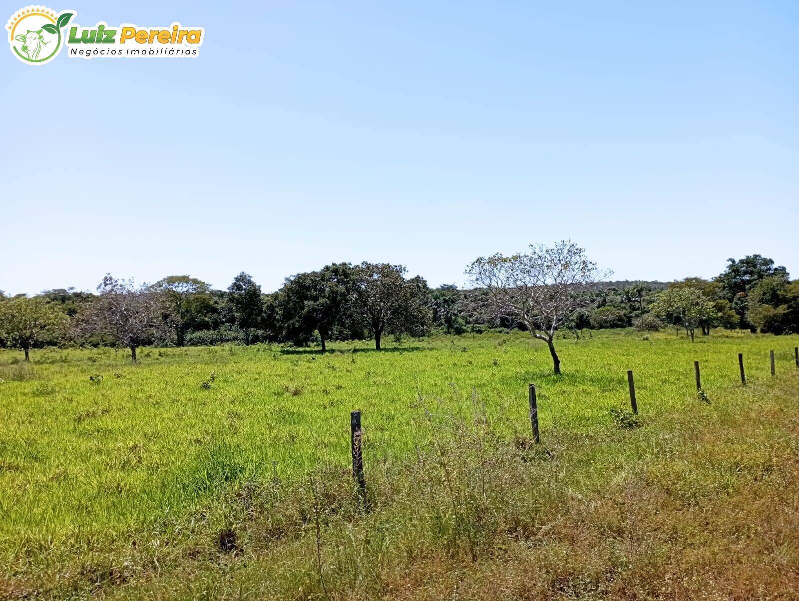 Fazenda à venda, 15970000m² - Foto 19