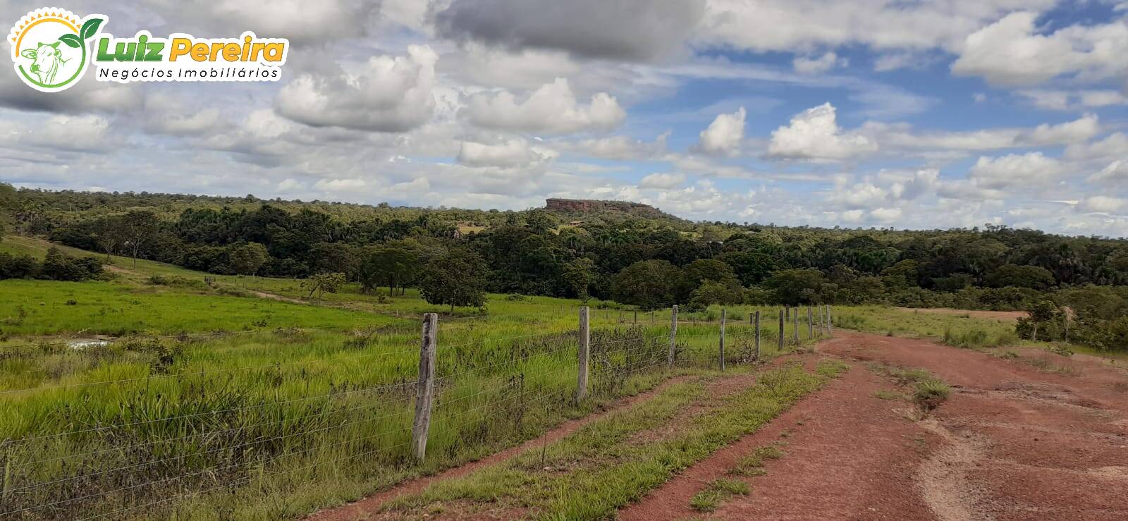 Fazenda à venda, 15970000m² - Foto 29