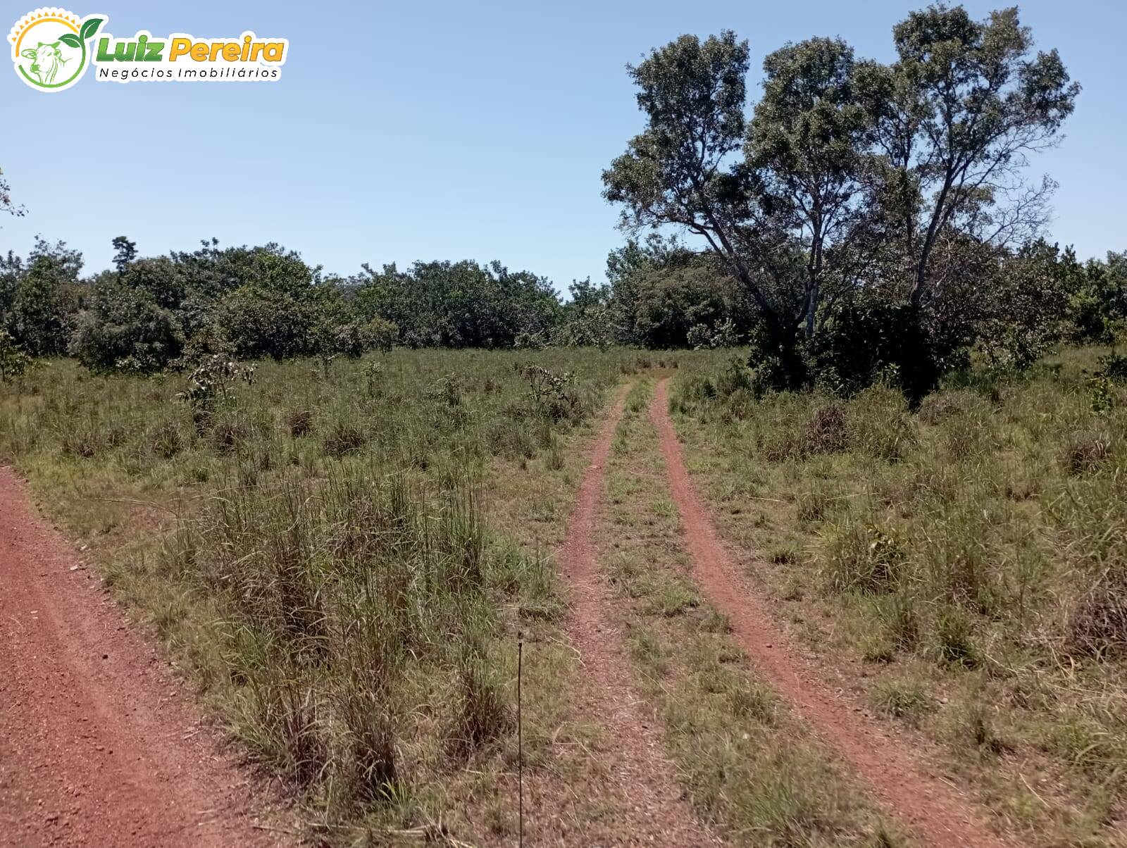 Fazenda à venda, 4598000m² - Foto 3